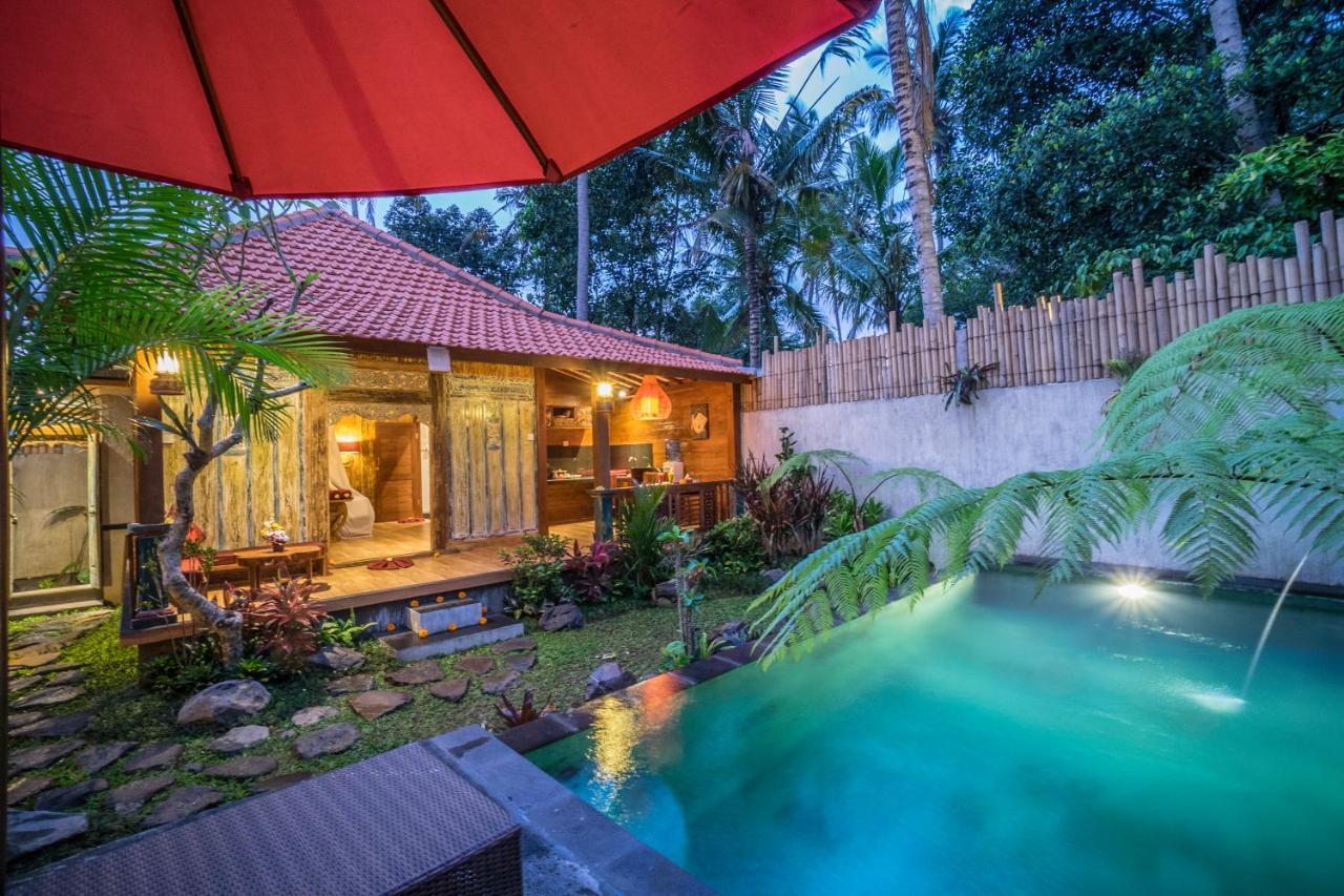 The Forest Villa Ubud Εξωτερικό φωτογραφία